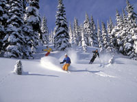 Skiing Whistler Skiing Whistler
